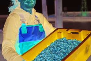 1,3 miljoen euro budget voor innovatie en opschaling in agrifood