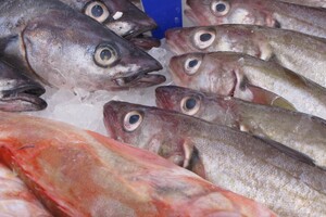 PFAS in schaaldieren en vis onder accreditatie