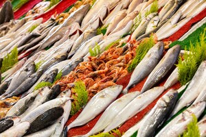 Sarco Packaging gaat hoofdkantoor uitbreiden