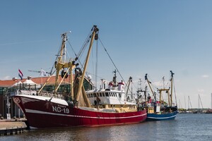 Het gaat niet goed met de mossel: 'Promotie is van levensbelang'