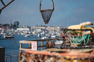 Mike Turenhout per 1 januari benoemd als directeur Visfederatie