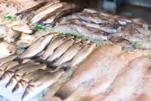 paSys Food Automatisering legt zich toe op foodsector