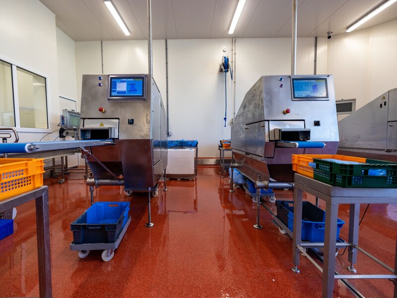 Borncut onthult portioneerlijnen op Seafood Processing Global