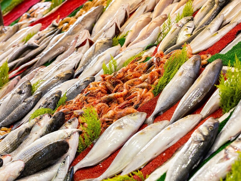 Europêche wil stop op EU-import van niet-duurzame vis
