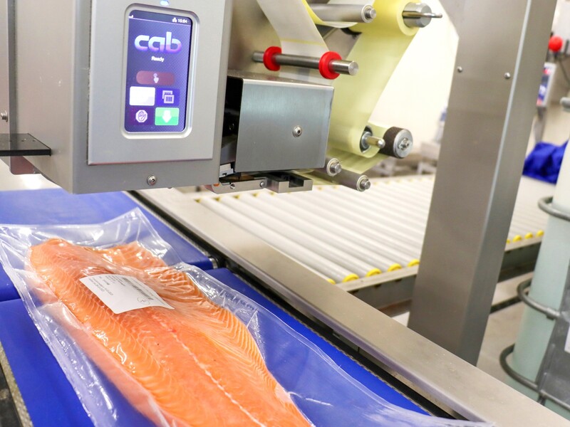 Opnieuw kiest Urker visverwerker voor Octopus Ace-systemen