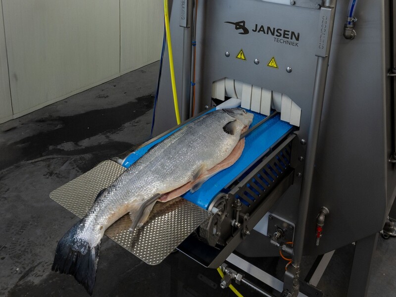 Nog efficiënter ontschubben met minder water en energie