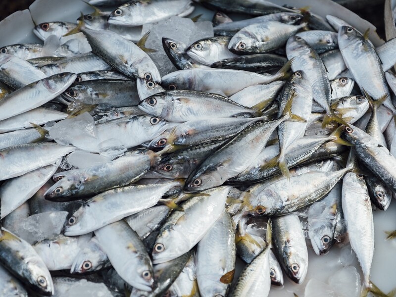 'Grote zorgen brede sectoren over Natuurherstelverordening'