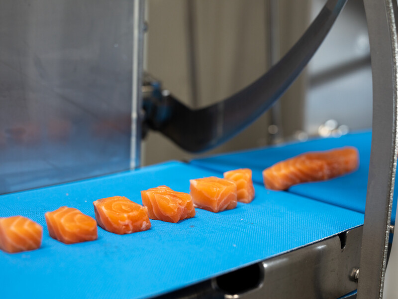 Demodagen zagen en portioneren bij IB Food-Machines 