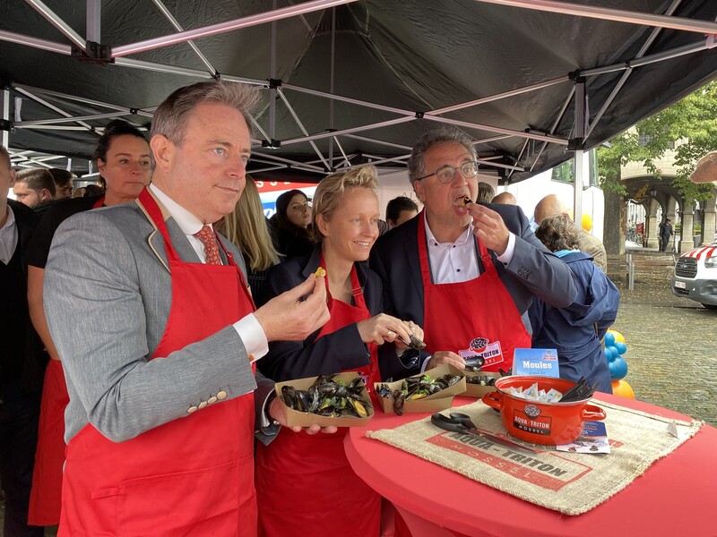 Het gaat niet goed met de mossel: 'Promotie is van levensbelang'