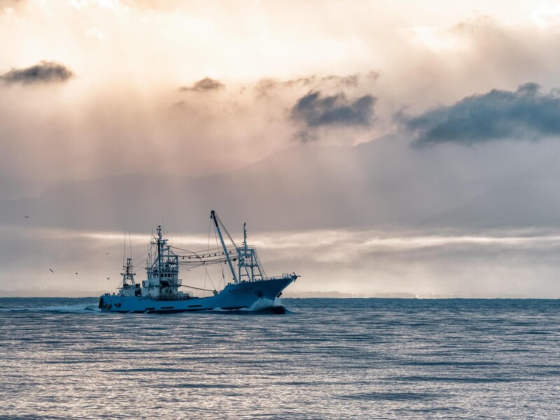 Nieuwjaarsbijeenkomst Visfederatie en Visbureau op 13 januari 2026