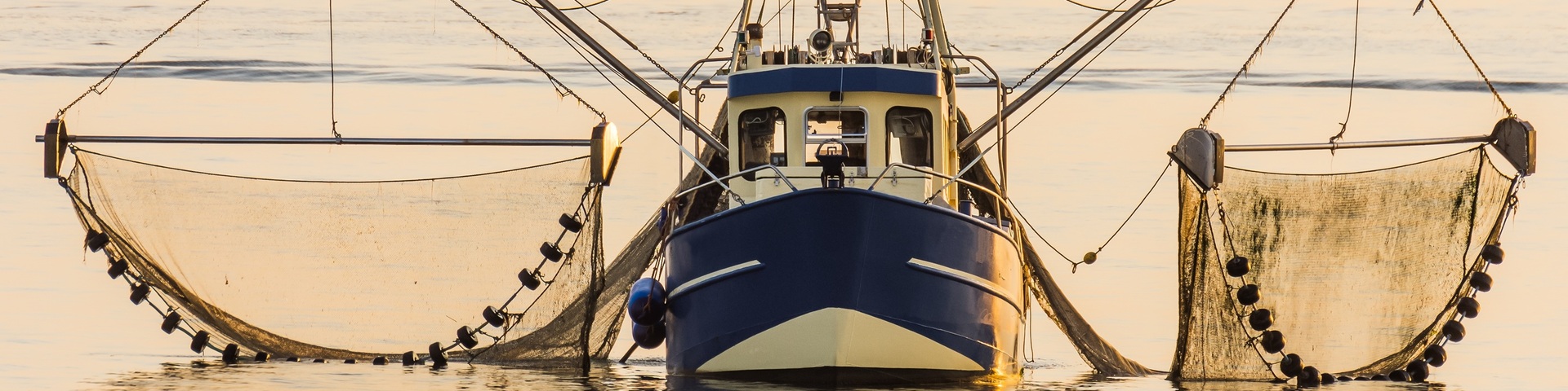 Derde internationale Catch Welfare Platform-congres strijkt neer in IJmuiden