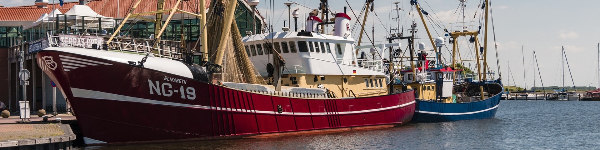 'Seafood hoort een logisch onderdeel te zijn van een duurzamer voedingspatroon'