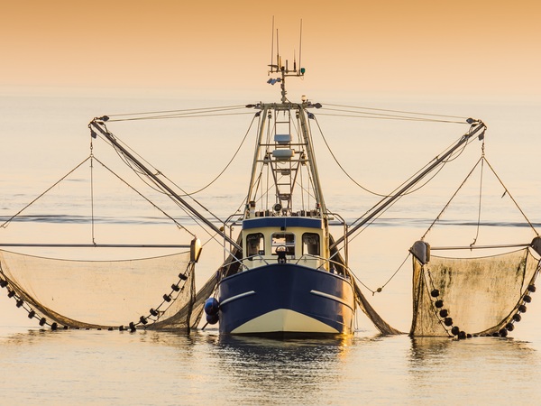 Derde internationale Catch Welfare Platform-congres strijkt neer in IJmuiden