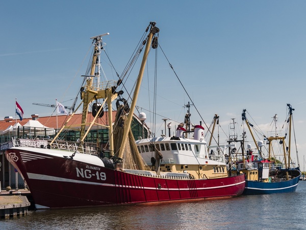 'Seafood hoort een logisch onderdeel te zijn van een duurzamer voedingspatroon'