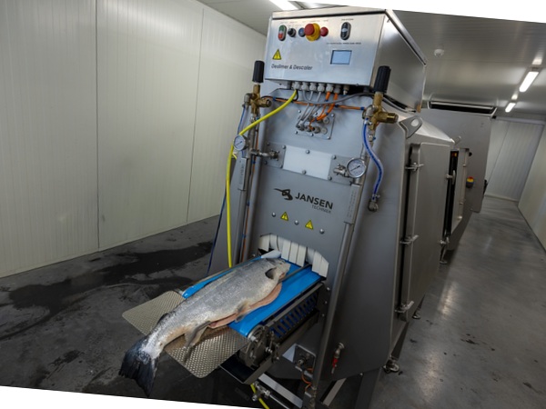 Nog efficiënter ontschubben met minder water en energie